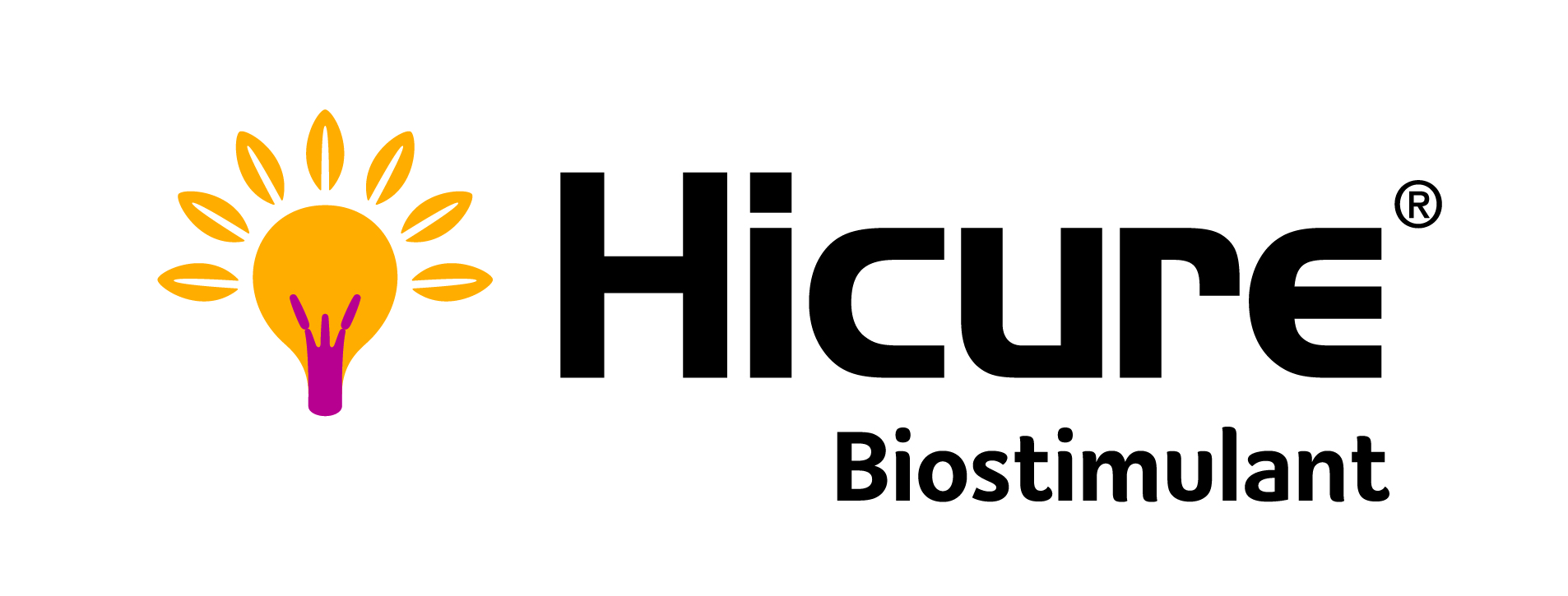 Hicure